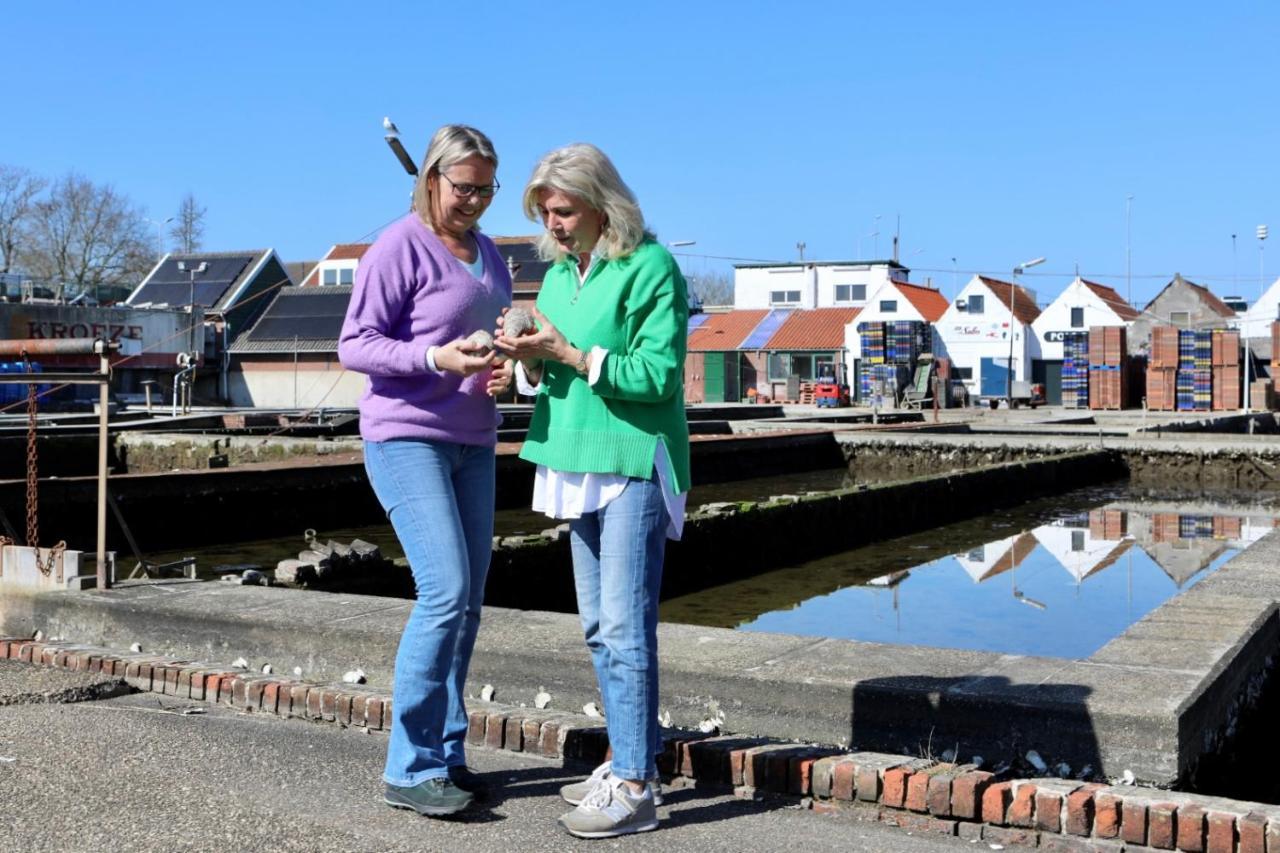 Wolphaartsdijk Huis Met Een Uitzicht Exterior foto